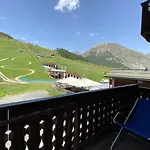 Mountain Spirit
